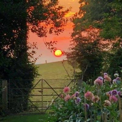 江南全站app下载官方网站截图