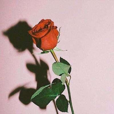 好彩网下载手机版