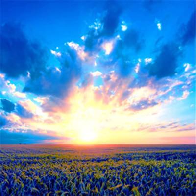 星空体育平台官网手机app下载