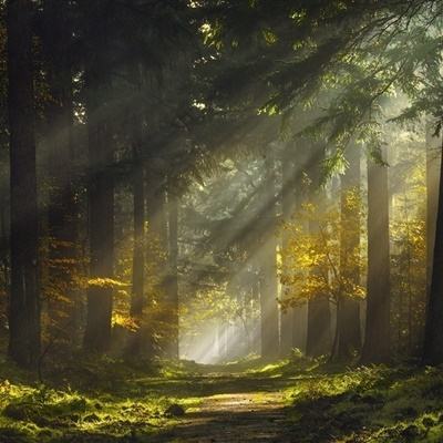 2023澳门资料大全正版手机app下载截图