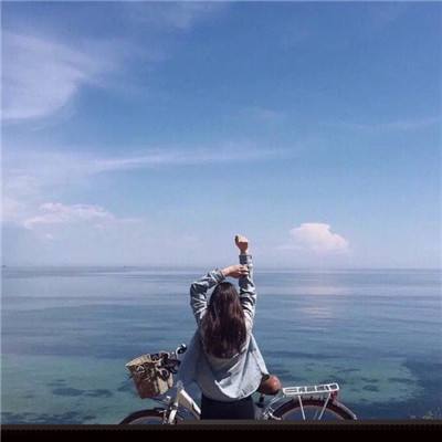 2023澳门资料大全正版手机app下载