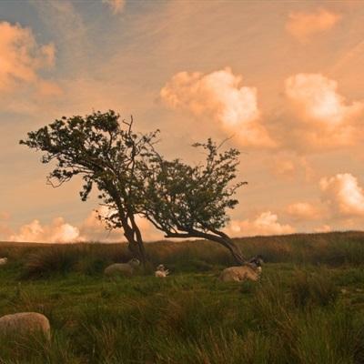 麻将胡了pg网站