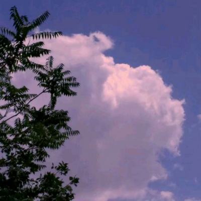 火狐体育APPapp下载截图