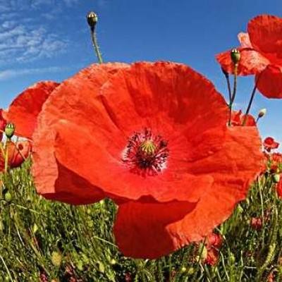 必赢亚洲手机app下载