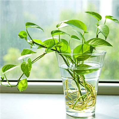 bat365(在线)登录入口截图