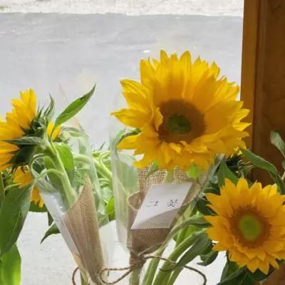 PG电子游戏官网入口