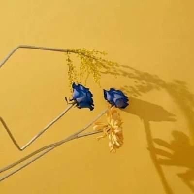 火狐体育APPapp下载截图